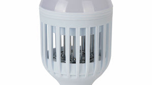 Indoor Insect & Pest Control